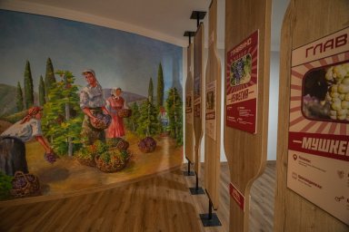 ГЛАВВИНО ФЕСТ 2026 представит лучшие примеры российского терруара и технологий